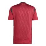 Maglia Belgio Home Euro 2024 - immagine 2