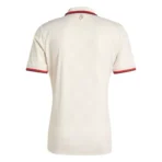 Terza Maglia Bayern Monaco 2024/25 - immagine 2