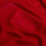 Maglia Ajax anniversario 125 anni 2024/25 - immagine 8