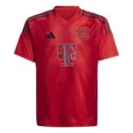 Maglia Bayern Monaco 2024/25 Home